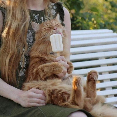 девушка с котом.jpg