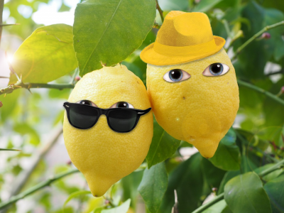 Лимоны.png