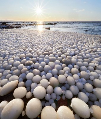 Peдкий феномен ледяных яиц в ceверной Финляндии. Благодаря сильному ветру и холодной погоде маленькие кусочки льда растут, перекатываясь в воде. Из-за этого финские берега выглядят как гигантские кладки драконьих яиц..jpg