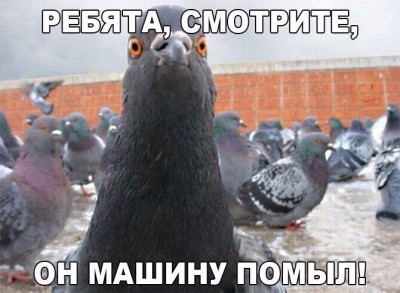 GdhGD_EjcOs.jpg