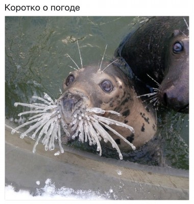 NmUq1eX7NYQ.jpg