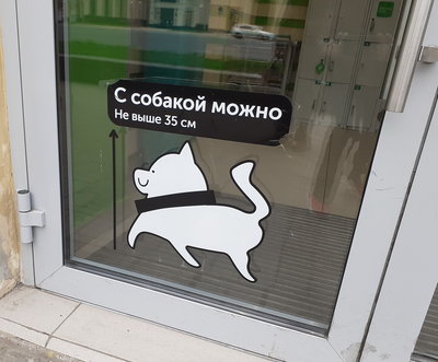20230609_161526-собачка.jpg