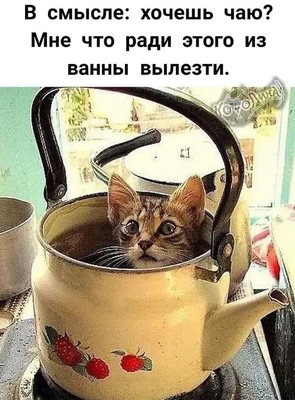 CYb0AsOXZ50.jpg