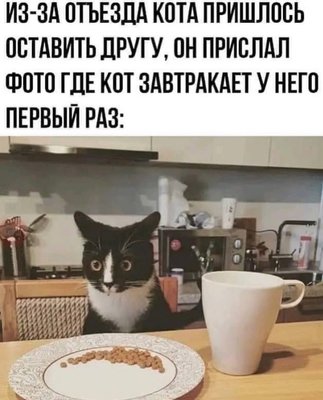 cTZ8QU3n-J4.jpg