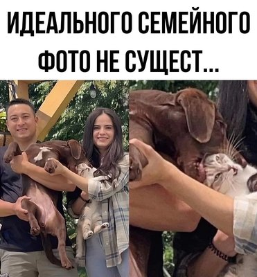 g9MDvBEPRSY.jpg