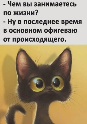 wjgkJW9d_eU.jpg