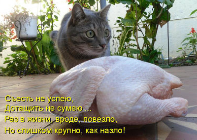 h-195.jpg