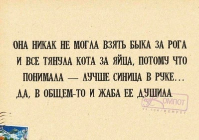 бык юмор.jpg