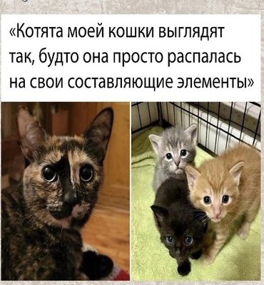 nNCQzlpC8kA.jpg