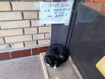 20230731_173654-угол.jpg