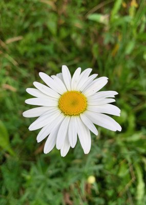 IMG_9802.jpeg