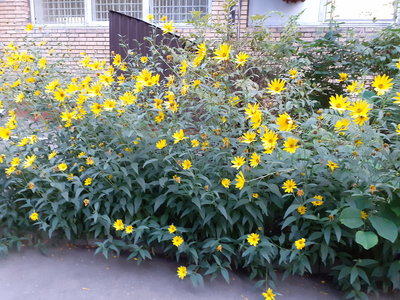 20230828_190916.jpg