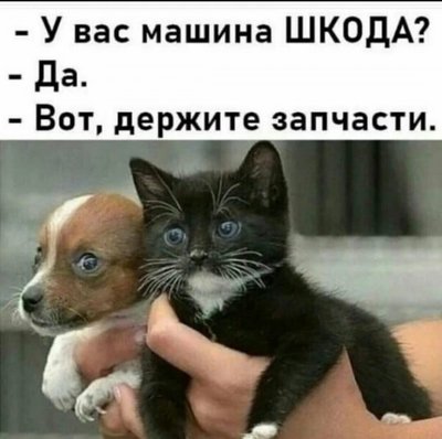 шкодники.jpg