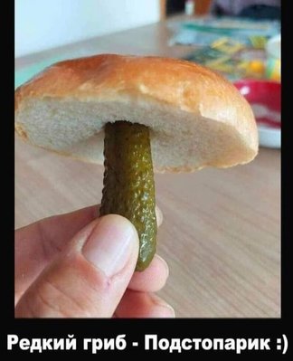 гриб.jpg