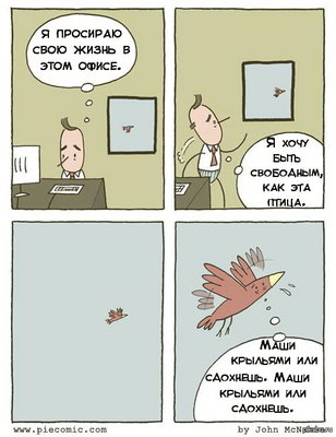 птица-юмор.jpg