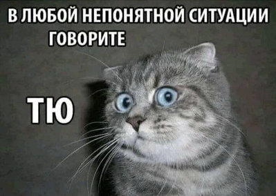 тю.jpg