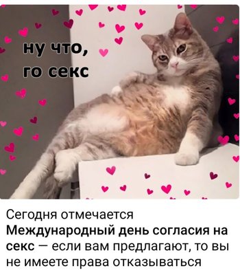 ссс.jpg