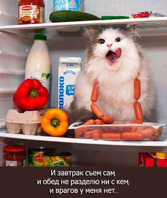 съем.jpg