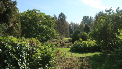 IMG_7450-хор.jpg