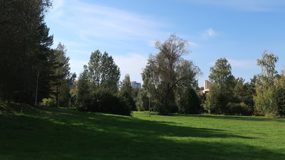 IMG_7529-хор.jpg