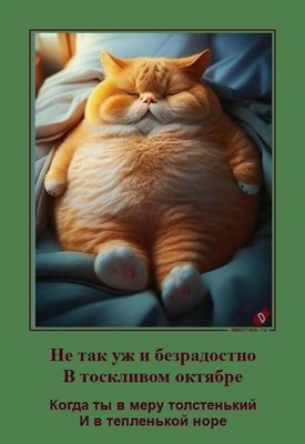 октябрь.jpg
