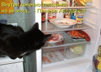 206ee4bdf6ba13a7e76c809af519f58d.jpg