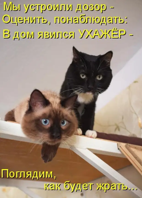 Безымянный.png