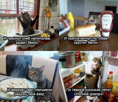 летит бекон юмор.png