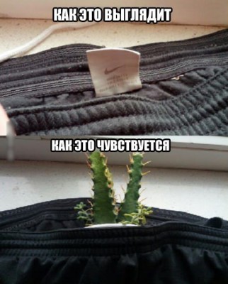 THQR_GMIMM0.jpg