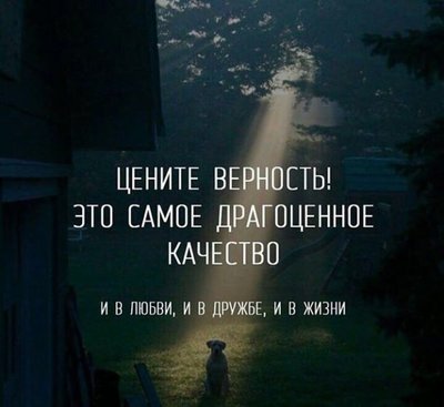 349080097_1169177013779275_4029481778815667167_n.jpg