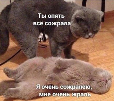 жраль юмор.jpg