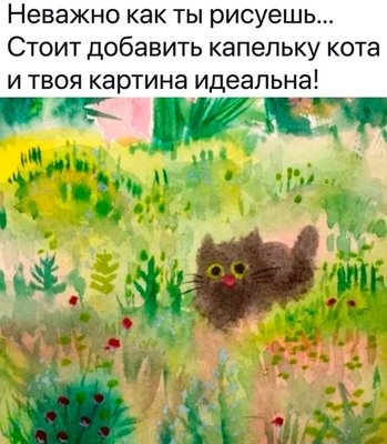 добавить кота.jpg