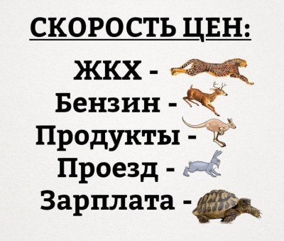 qVrvXLYsZq4.jpg
