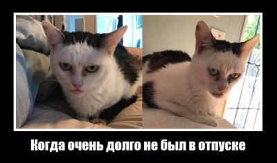eC9dJOt-SHU.jpg