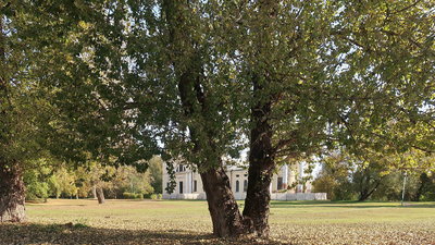 IMG_8598-хор01.jpg