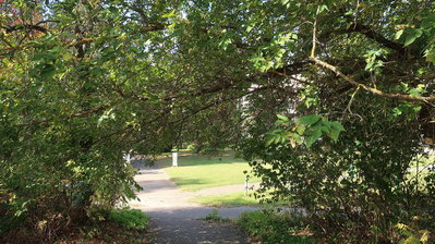 IMG_8609-хор.jpg