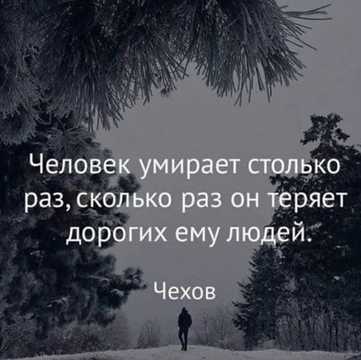 410387125_918401079644648_8354753310809629417_n.jpg