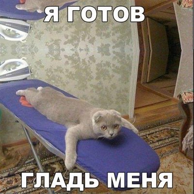 42bf382727176de5f58a1383e4d62474.jpg