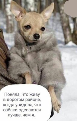 iebm4pm3hpA.jpg