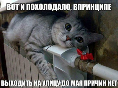 1507112114181633990.jpg
