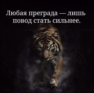 h-134425.jpg