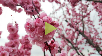 Безымянный.png (605.49 KiB) Просмотров: 724 Безымянный.png