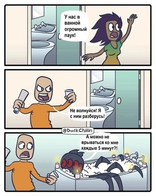 паук.jpg