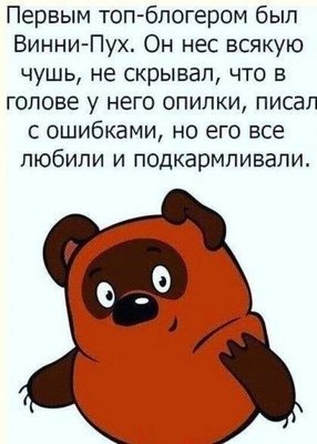 винни блогер.jpg