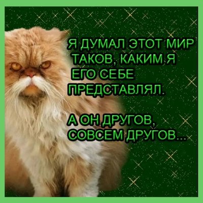 таков-другов юмор.jpg