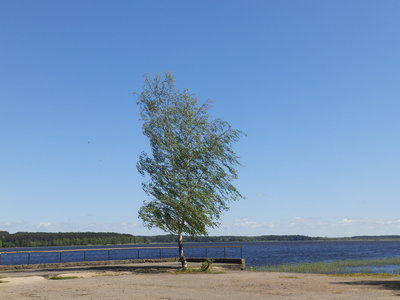 P5115923.JPG