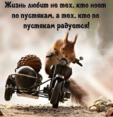 432098673_748914204011941_7061521021252333725_n.jpg