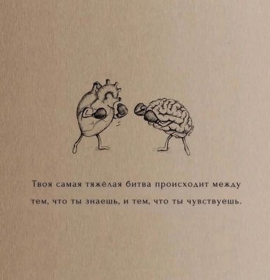 f7FMOrpjY58.jpg