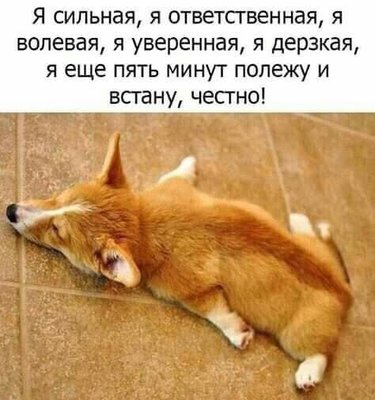 я встану.jpg