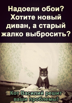новый диван.jpg